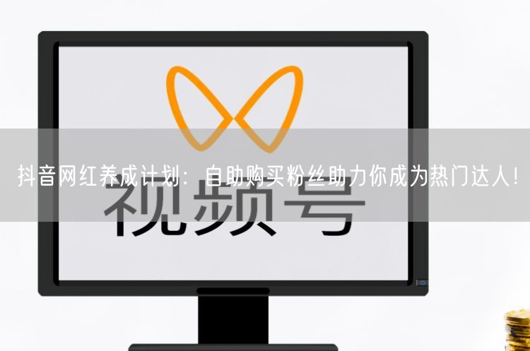 抖音网红养成计划：自助购买粉丝助力你成为热门达人！