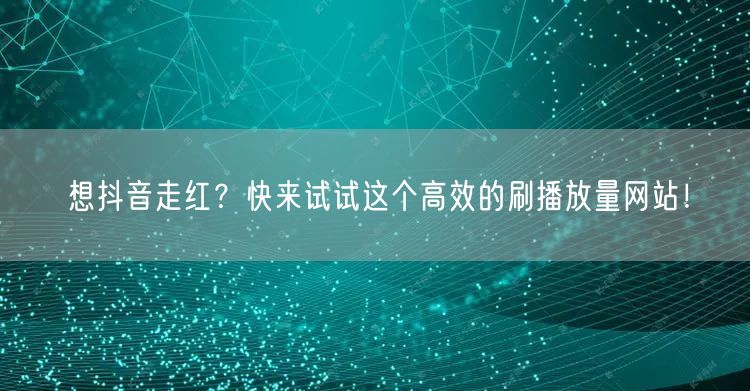 想抖音走红？快来试试这个高效的刷播放量网站！
