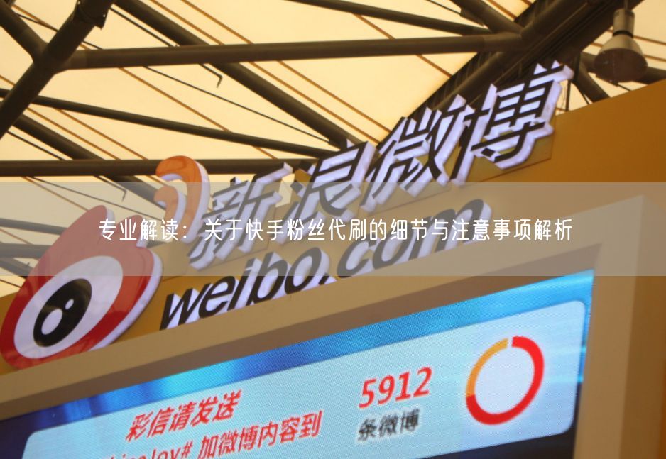 专业解读：关于快手粉丝代刷的细节与注意事项解析