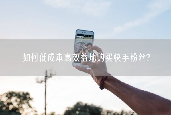 如何低成本高效益地购买快手粉丝?